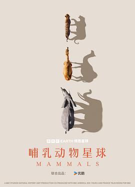 哺乳动物星球封面图