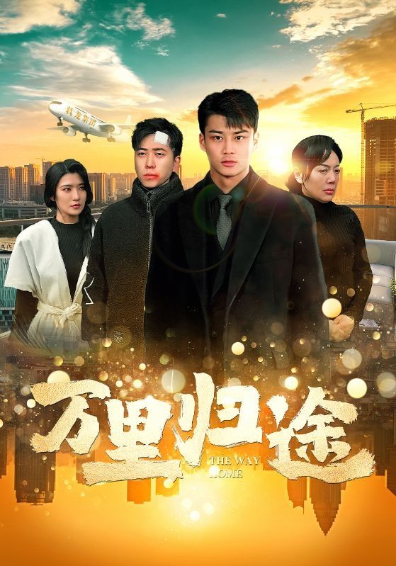 万里归途封面图