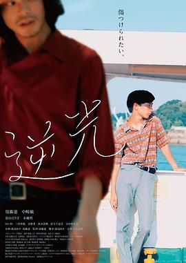 逆光封面图