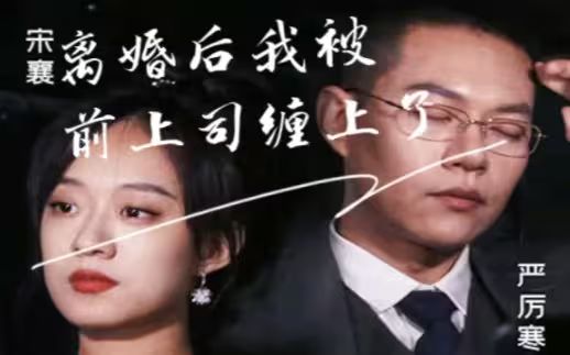 离婚后我被前上司缠上了封面图