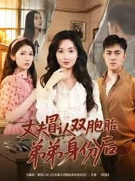 丈夫冒认双胞胎弟弟身份后封面图