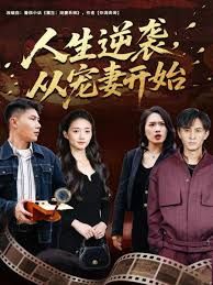 人生逆袭，从宠妻开始封面图