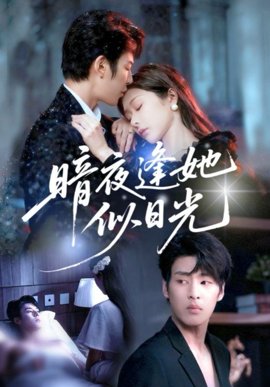 暗夜逢她似日光封面图