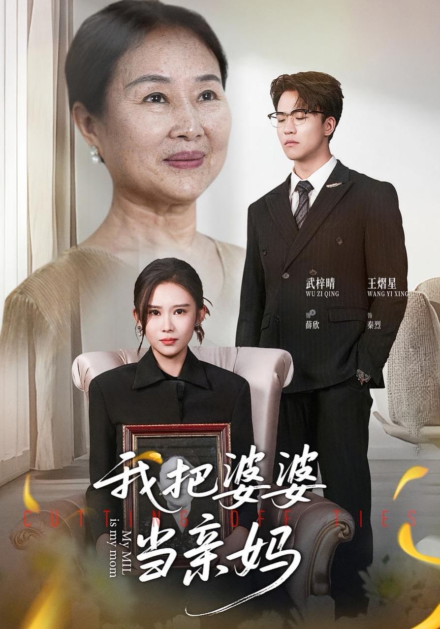 我把婆婆当亲妈封面图