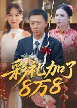 彩礼加了8万8封面图