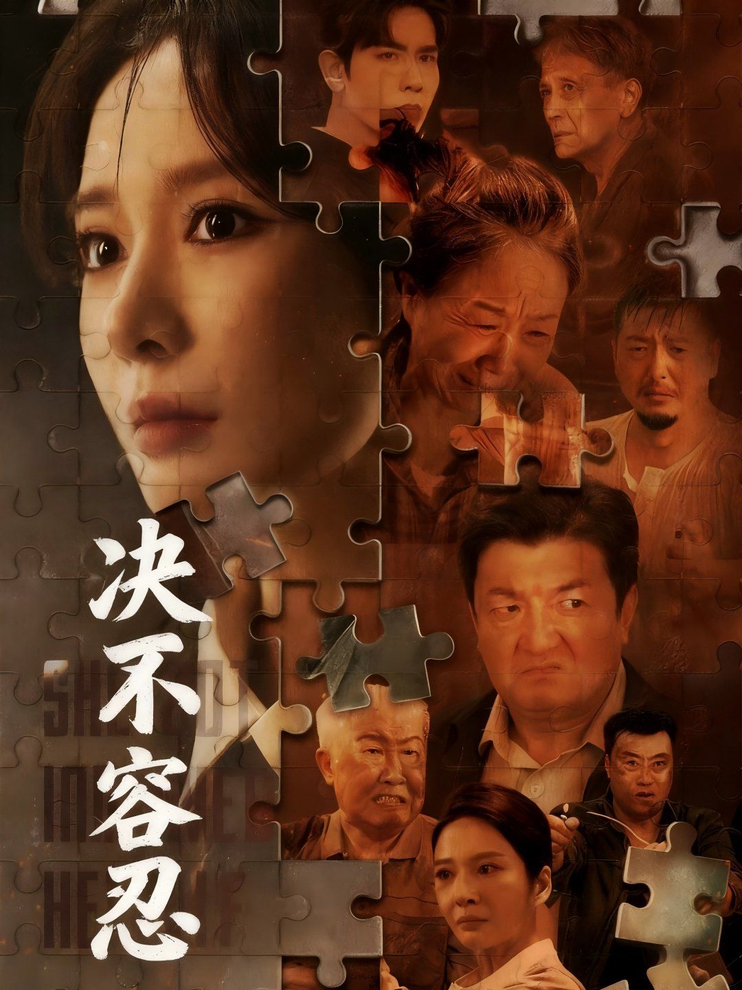 决不容忍（以身入局的她）封面图