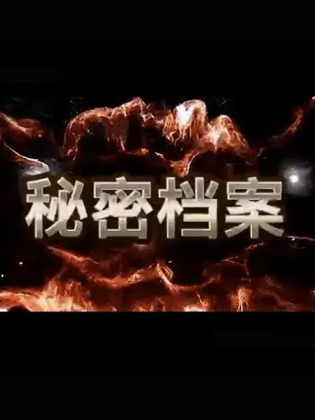 秘密档案封面图