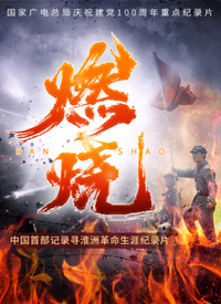 燃烧封面图