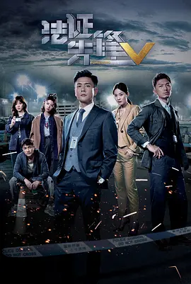 法证先锋5（国语版）封面图