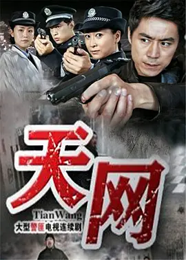 天网封面图