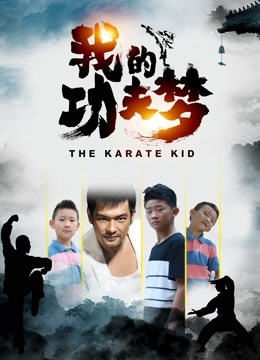 我的功夫梦封面图