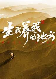 生我养我的地方封面图