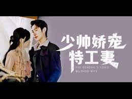 少帅娇宠特工妻封面图