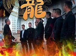追龙封面图