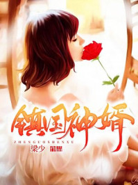 镇国神婿封面图