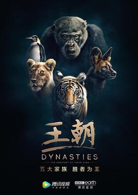 王朝 第一季封面图