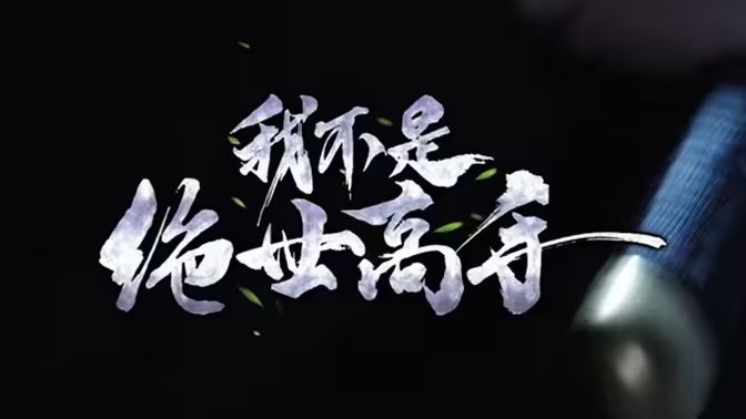 我不是绝世高手封面图