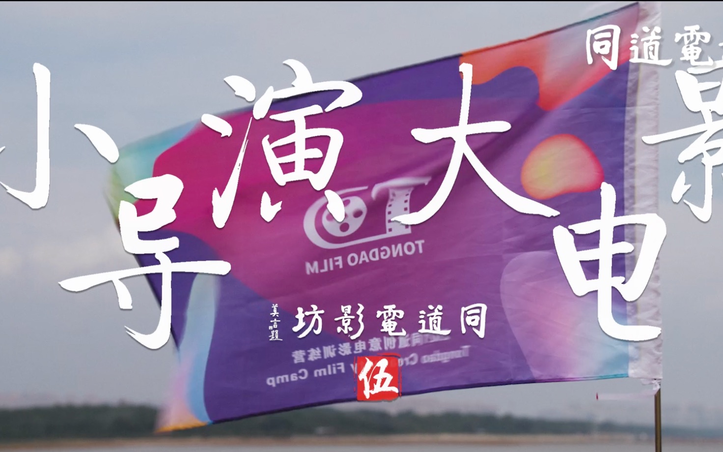 小导演大电影封面图