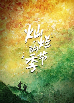 灿烂的季节封面图