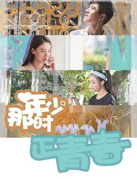 那时年少正青春封面图