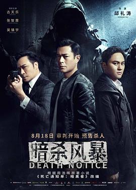 暗杀风暴粤语版封面图