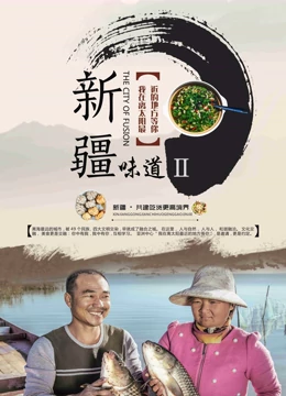 新疆味道2封面图