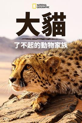 猫科动物：奇妙的动物家族封面图