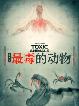 世界上最毒的动物封面图