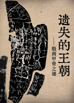 遗失的王朝封面图