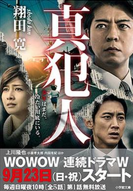 真凶封面图