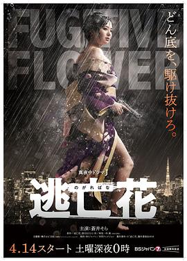 逃亡花封面图