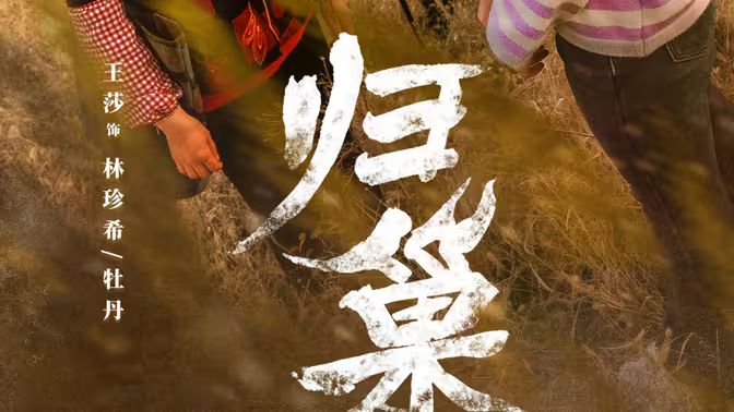 归巢封面图