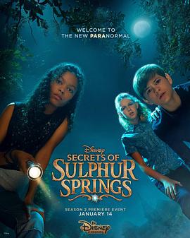 硫磺泉镇的秘密 第二季封面图