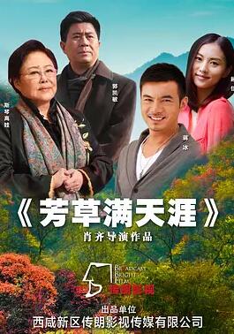 芳草满天涯封面图