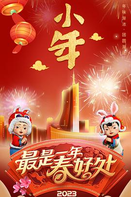 安徽卫视2023年春节联欢晚会封面图