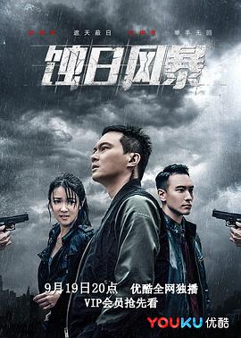 蚀日风暴封面图