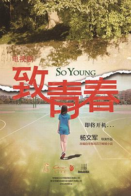 致青春封面图