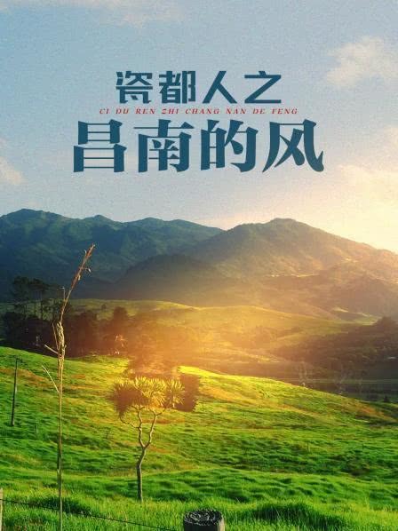 昌南的风封面图