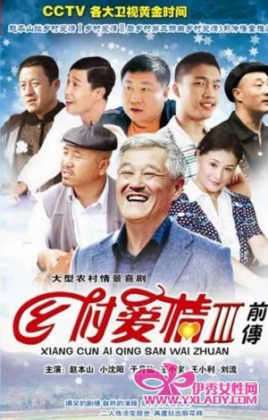乡村爱情故事封面图