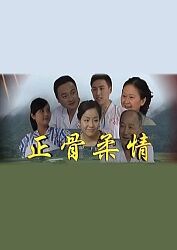 正骨柔情封面图