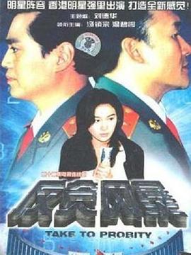 反贪风暴封面图