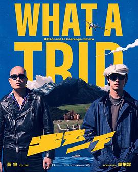出去一下 What A Trip封面图