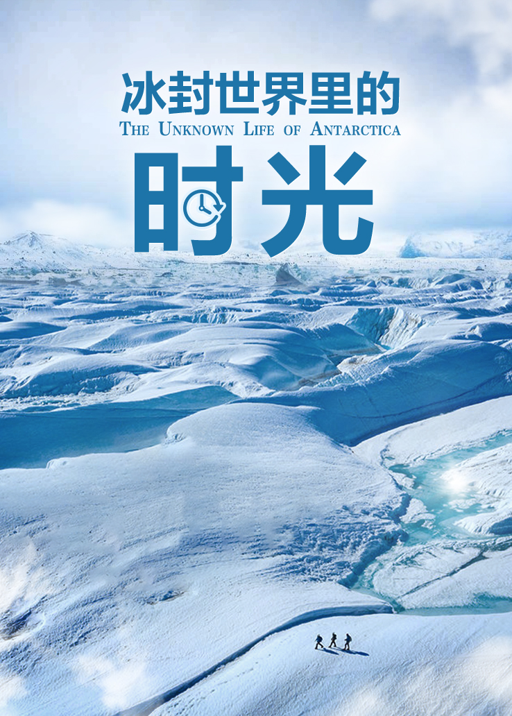 冰封世界里的时光封面图