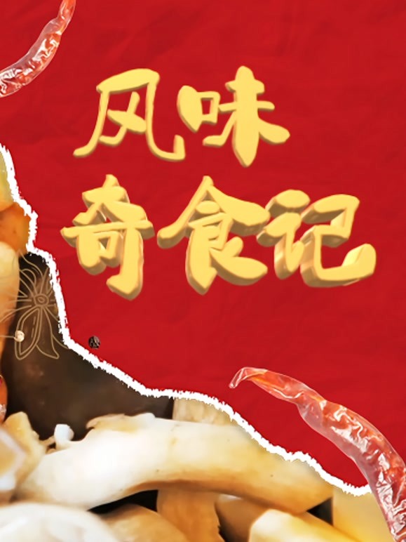 风味奇食记封面图