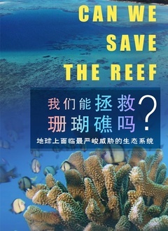 我们能拯救珊瑚礁吗封面图