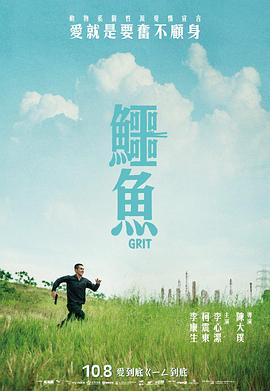 鳄鱼封面图