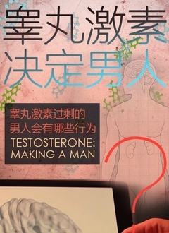 睾丸激素决定男人封面图