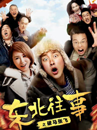 东北往事之破马张飞封面图