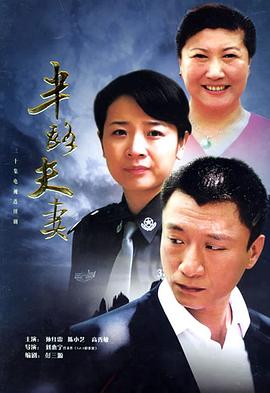 半路夫妻封面图