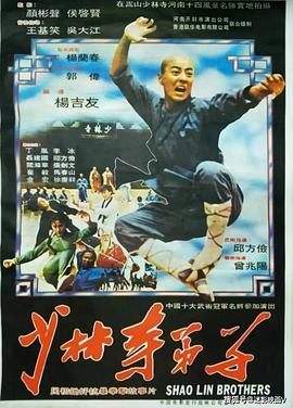 少林寺弟子封面图